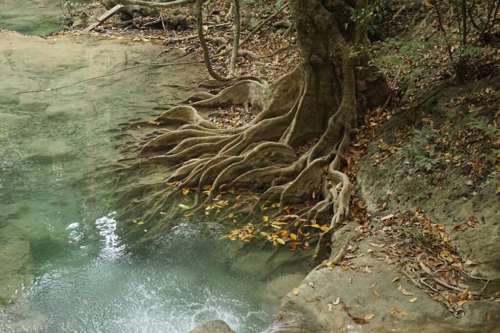 erawan met kinderen
